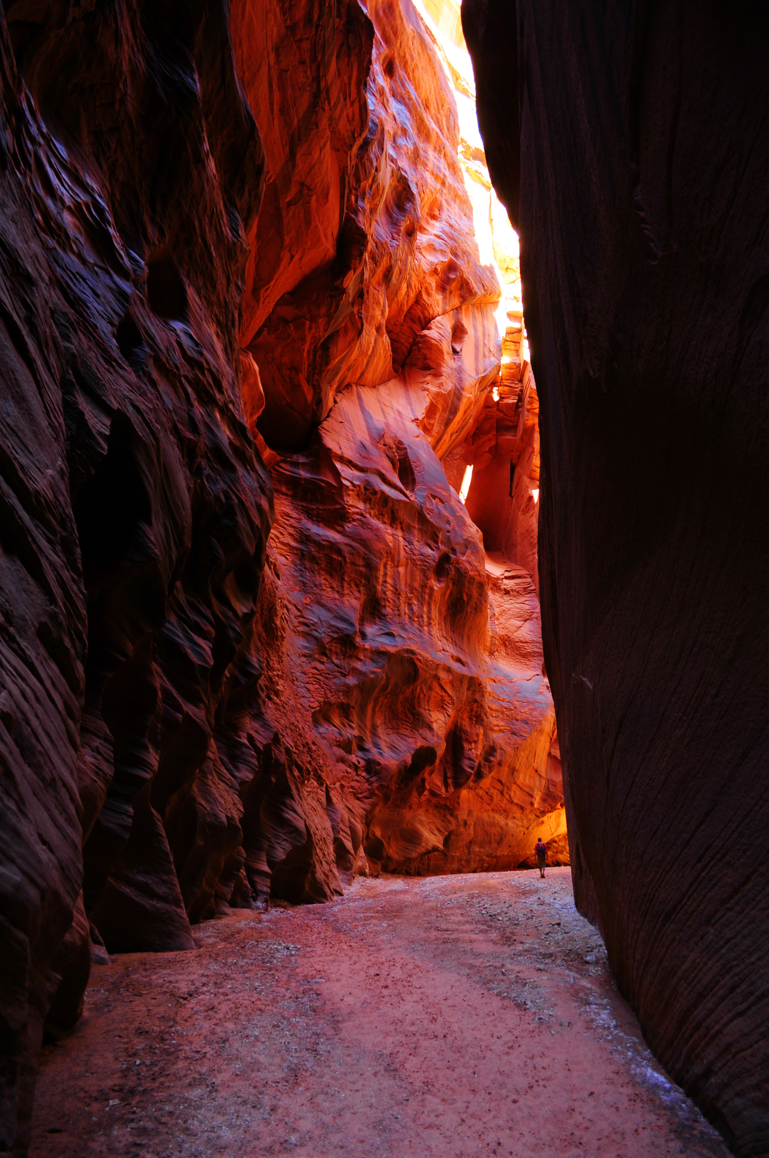 Buckskin Gulch via Wire Pass Your Hike Guide