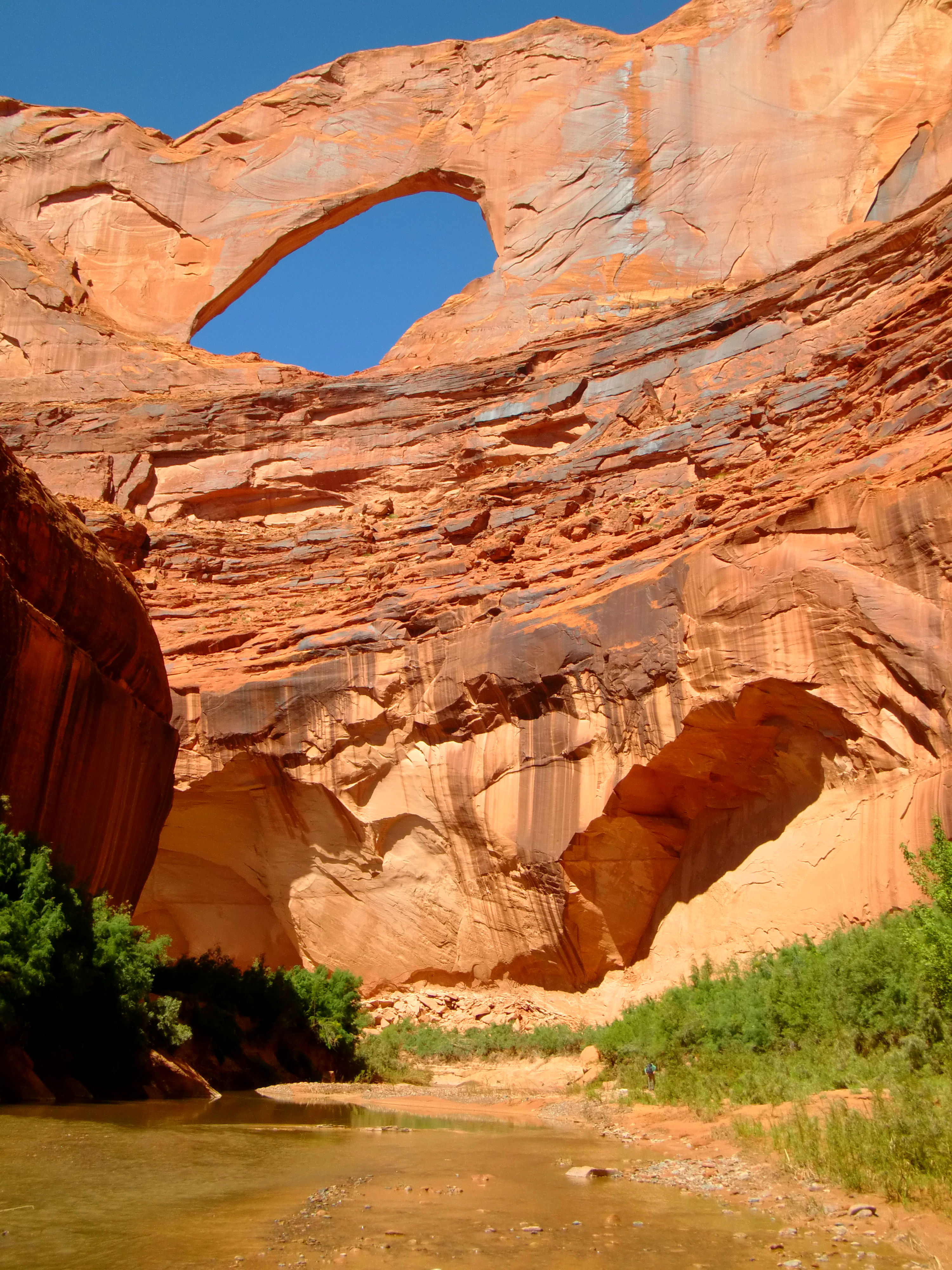 Coyote Gulch y Jacob Hamblin/Lobo Arch - OESTE DE EEUU 2015. UN MES POR LOS... -Comentario al Blog ✈️ Foro Costa Oeste de USA